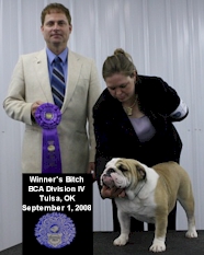 English Bulldog Puppies - Blue Diamond Bulldogs - Champion Bulldog