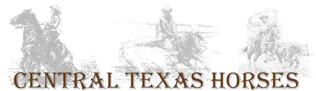 Central Texas Horses - Paint Horses Quarter Horses